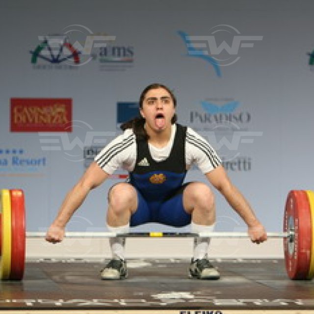 Cat63(ARM)Daluzyan1.JPG