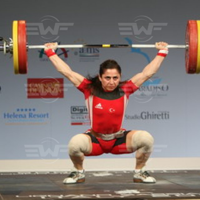 Cat63(TUR)Simsek3.JPG