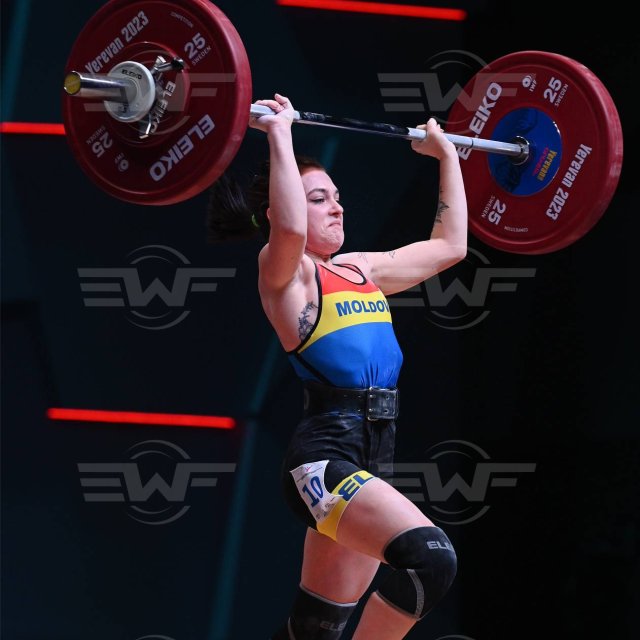 HM2_1540.jpg
